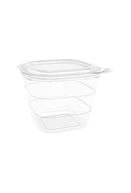 Recyclable Hinged Container with Flat Lid #EC420755200