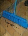 Deck and Wall Scrub Brush with Stiff Bristles 19"
