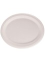 Bagasse Round Compostable Plate #GL006022000